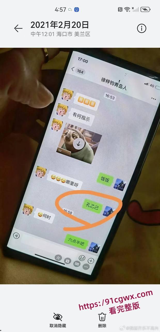 娱乐圈大瓜,家有儿女夏东海饰演者高亚麟出轨徐梓钧并在孕期家暴PUA原配时玮-10