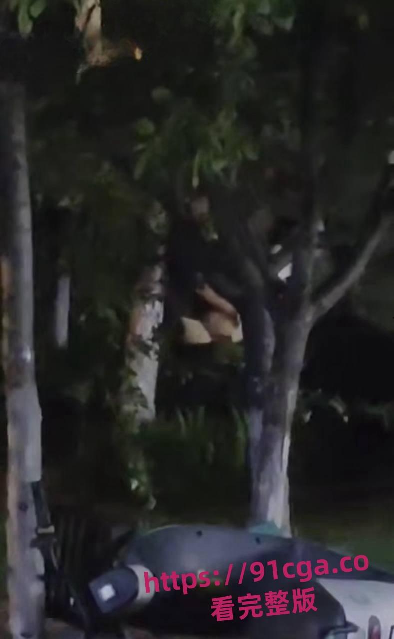 东营55岁老不朽夜市小树林与女激情一分钟速战速决引热议!-3