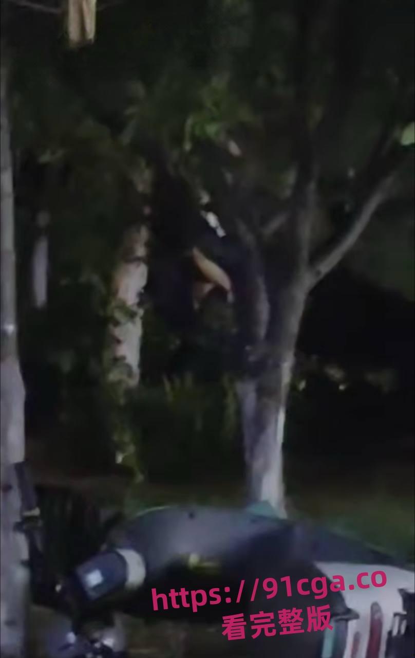 东营55岁老不朽夜市小树林与女激情一分钟速战速决引热议!-4