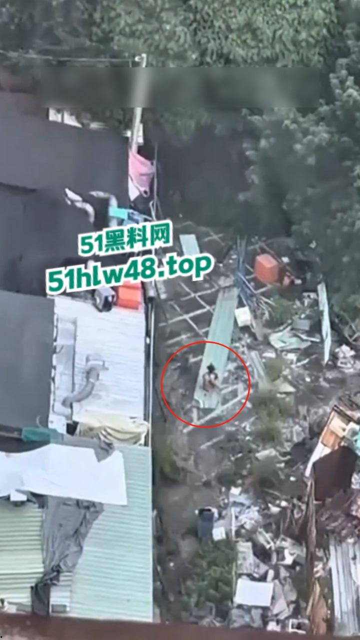 湾湾长腿大妈露天自慰被偷拍,大妈身材年轻时也绝对是大美女,想不到老了竟然这么饥渴。-3