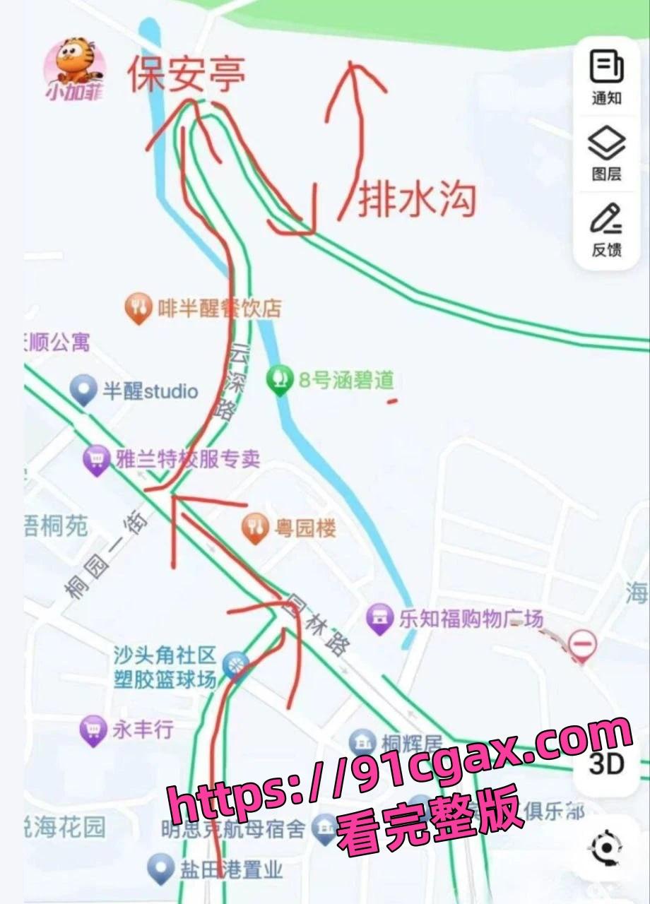 深圳梧桐山老虎涧夜间百人基佬野战淫趴场面真壮观!-1