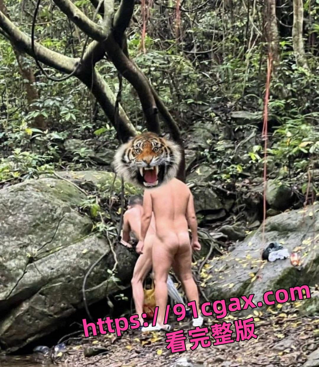深圳梧桐山老虎涧夜间百人基佬野战淫趴场面真壮观!-4