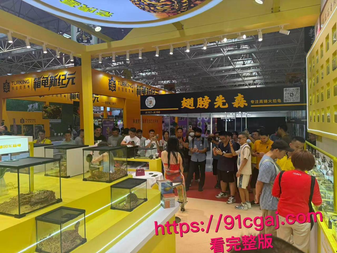 现在连卖乌龟都要请模特?广东佛山顺德龟展黑丝妹子扭腰甩臀勾魂,主办方慌张轰走这场肉欲大趴体 #世界名龟展模特派对揭秘 #网红高颜女神龟展暴露 #网红擦边 #龟友-12