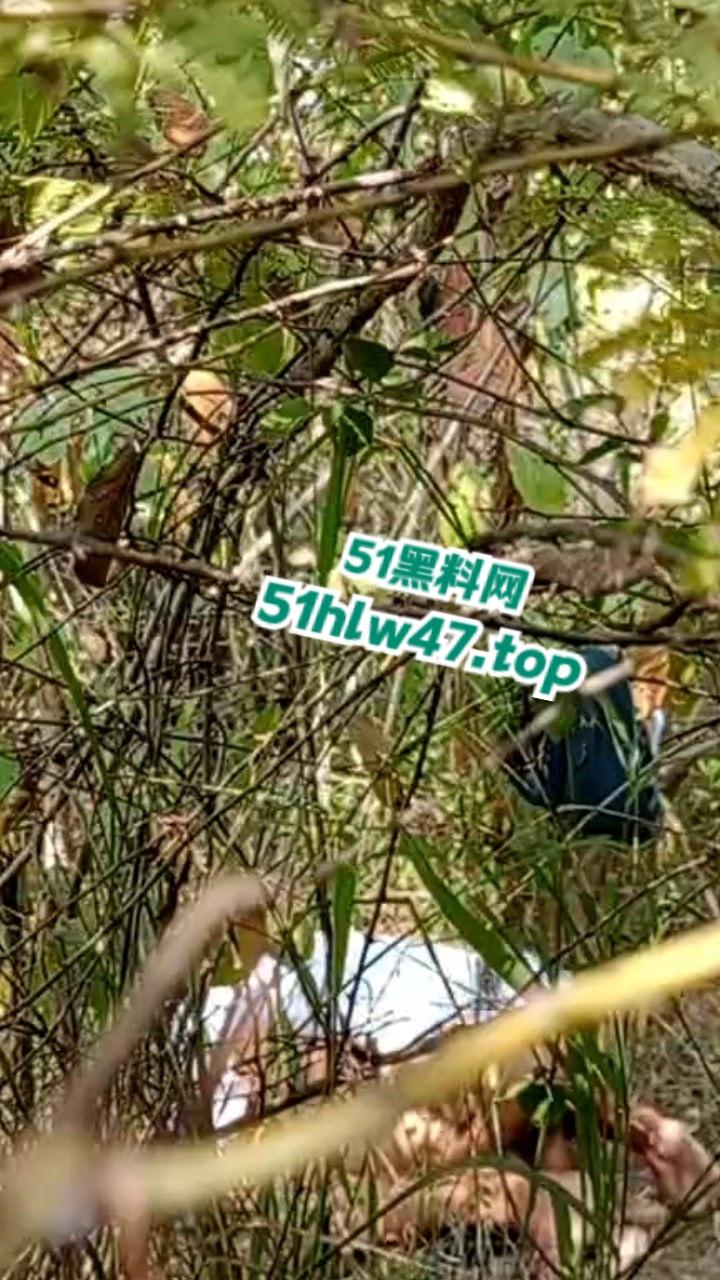 情侣景区小树林露天野战被偷拍,景区小树林里操逼,裸露下体疯狂动鸡刺激中出小骚逼。-2