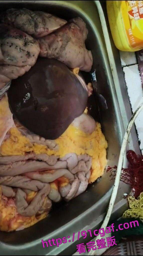 热门越南屠夫,重口血腥,太恶心太重口 顶不住的兄弟们就别看了-4